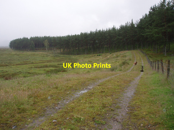 Photo 6"x4" Track alongside Revack Wood Anagach c2009