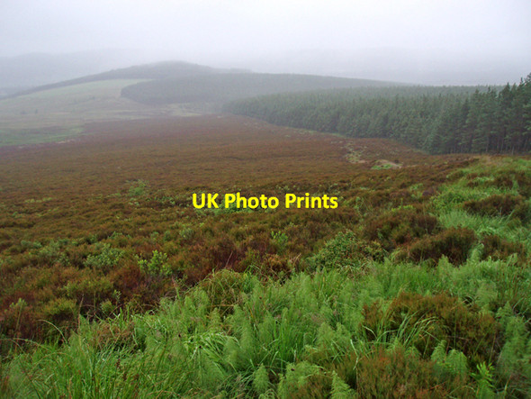 Photo 6"x4" Moorland, Carn na Coinnse Anagach c2009