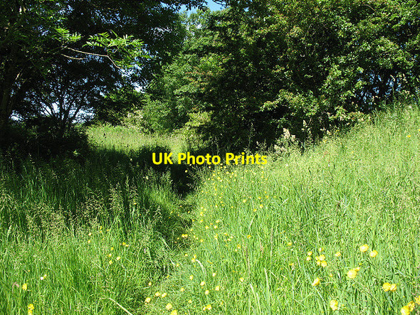 Photo 6"x4" Railway path near Waitby Kirkby Stephen c2009
