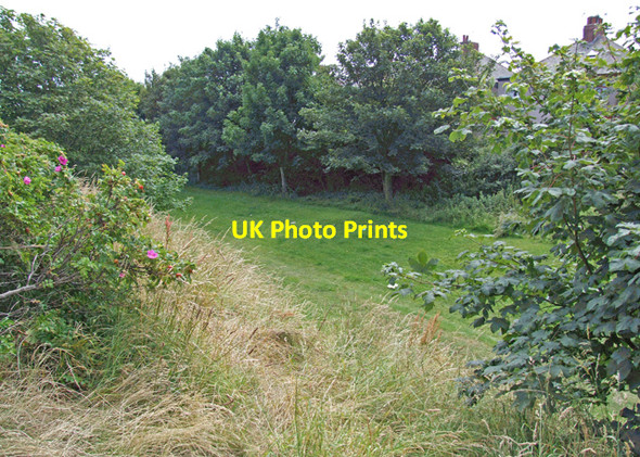 Photo 6"x4" Cavendish Park Barrow Island Barrow-In-Furness c2009