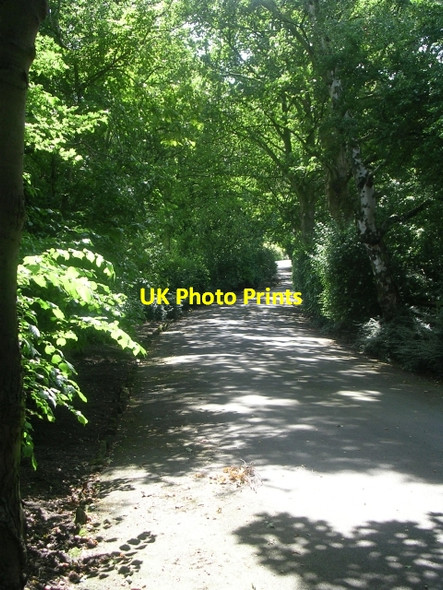 Photo 6"x4" Cartref - Pool Road Pool\/SE2445 c2009