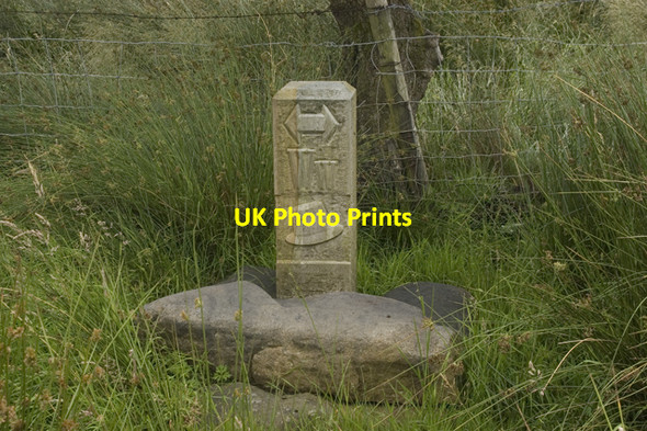 Photo 6"x4" Waymarker on the Wyre Way above Tarnbrook Tarnbrook c2009