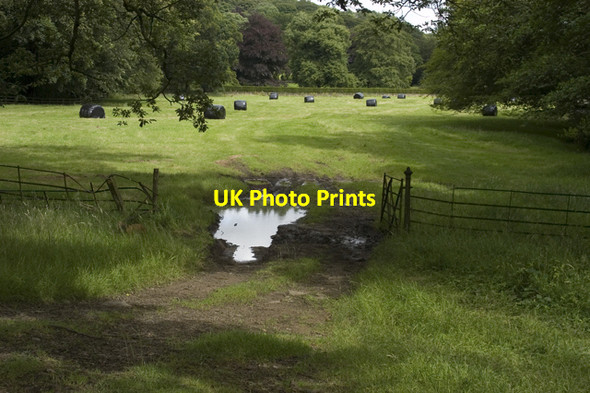 Photo 6"x4" Field at Abbeystead Abbeystead c2009