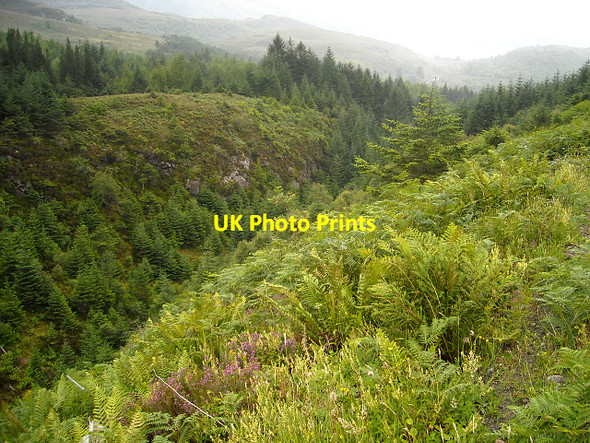 Photo 6"x4" Gorge at Inchree Inchree c2009