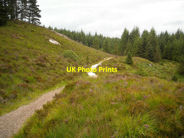 Photo 6"x4" Footpath Near Inchree Inchree c2009