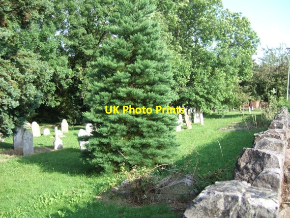 Photo 6"x4" Part of Higher Cemetery, Exeter Exeter c2009