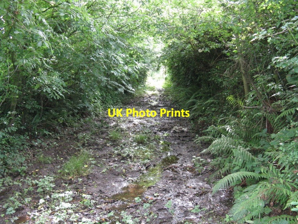 Photo 6"x4" A Muddy Horror Tenby\/Dinbych-y-pysgod c2009
