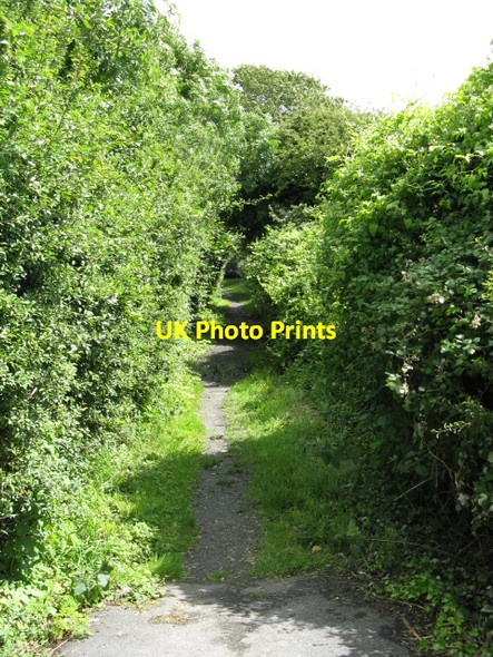 Photo 6"x4" Incline Footpath, Saundersfoot Valle c2009