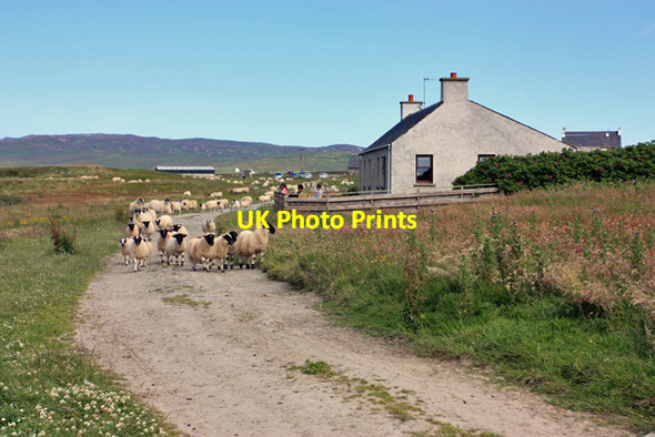 Photo 6"x4" Towards Kintra Farm Glenegedale c2009