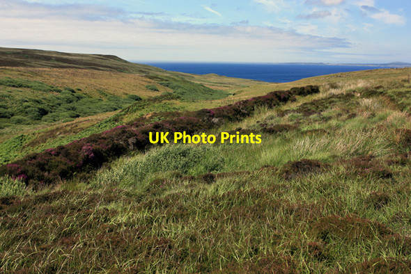 Photo 6"x4" Moorland on the Oa Cnoc M\u00f2r Ghrasdail c2009