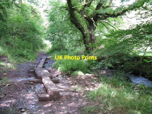 Photo 6"x4" Across A Wet Bit Pennar Park c2009