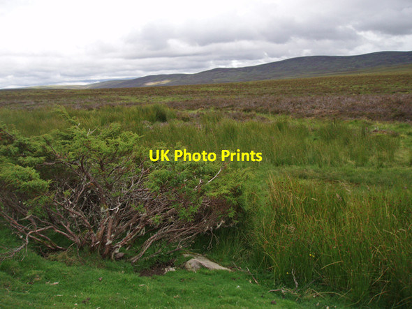 Photo 6"x4" Moorland east of Rychraggan Allt na Ce\u00e0rdaich\/NJ0237 c2009