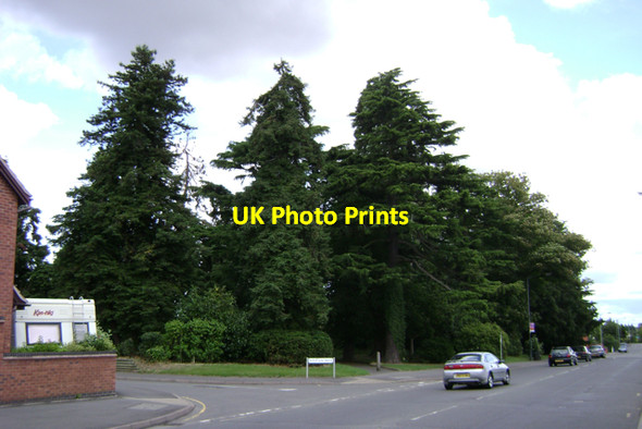 Photo 6"x4" The Arboretum by St Helen's Road, Leamington Spa Royal Leamington Spa c2009