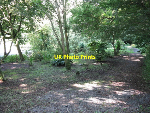 Photo 6"x4" Woodland Footpath Near Pill Priory Milford Haven\/Aberdaughleddau c2009