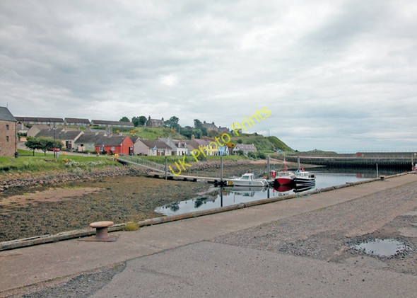 Photo 6"x4" Helmsdale harbour Helmsdale c2005