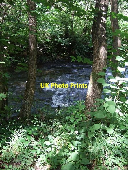 Photo 6"x4" Sirhowy River Bedwas c2009