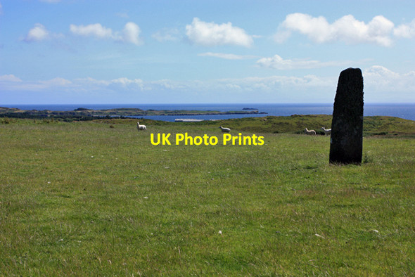 Photo 6"x4" Standing stone at Kilbride Laphroaig c2009