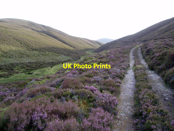 Photo 6"x4" Track following Feith Mhor Carnachuin c2009