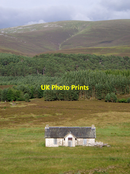 Photo 6"x4" Achleum, Glenfeshie Tolvah c2009