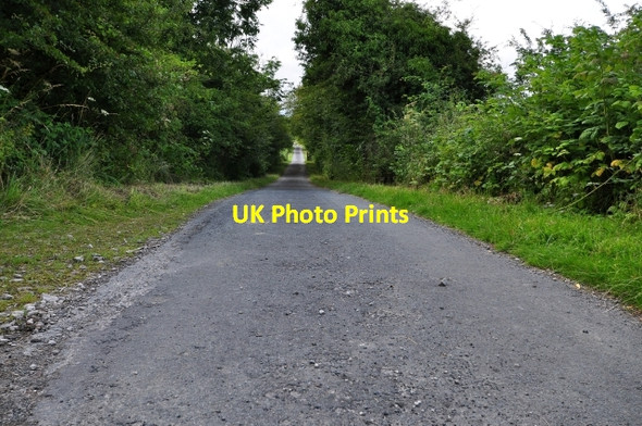 Photo 6"x4" Puddlemire Lane Lupton c2009