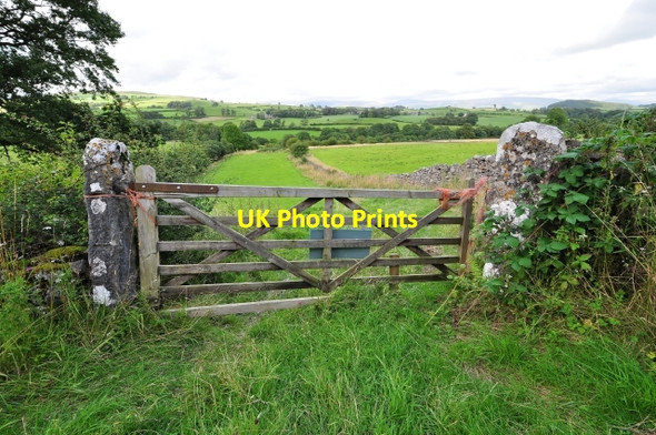 Photo 6"x4" Farm gate and landscape Lupton c2009