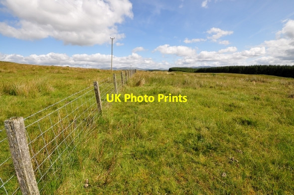 Photo 6"x4" Grazing land and fence Peat Hill\/NT0101 c2009