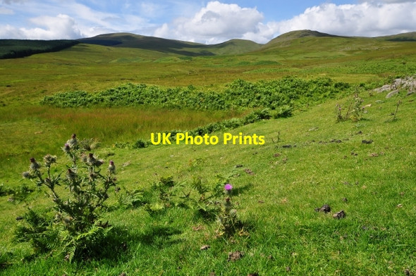 Photo 6"x4" View towards Harestanes Heights from near Lochanhead Peat Hill\/NT0101 c2009