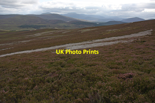 Photo 6"x4" Moorland, Baddoch Baddoch\/NJ0819 c2009