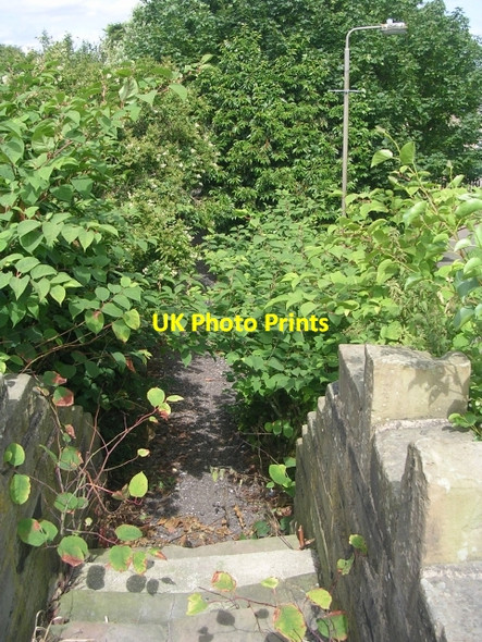Photo 6"x4" Footpath - Norristhorpe Lane Liversedge c2009