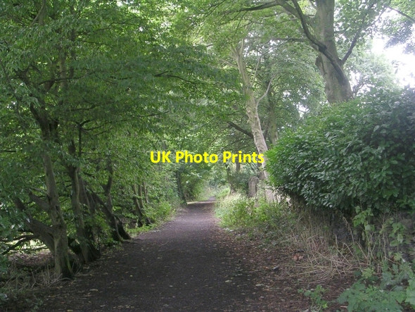 Photo 6"x4" Bridleway - The Fairway Netheroyd Hill c2009