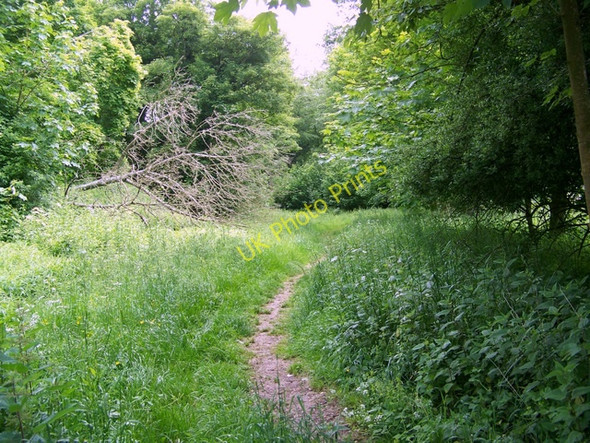 Photo 6"x4" Footpath near Stoughton Stoughton\/SU8011 c2009