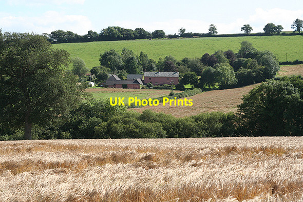 Photo 6"x4" Cullompton: towards Lower Bagmore Colebrook c2009