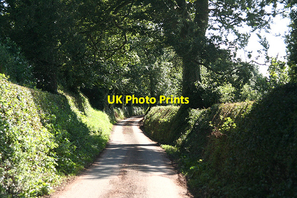 Photo 6"x4" Bradninch: lane to Forward Green Trinity\/SS9905 c2009