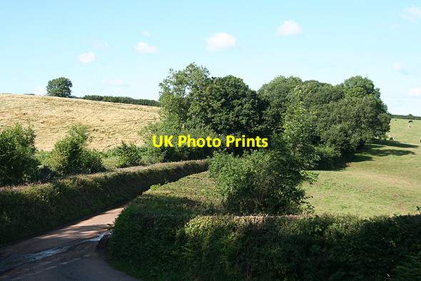 Photo 6"x4" Bradninch: by Forward Green Bradninch\/SS9903 c2009