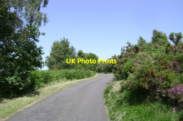 Photo 6"x4" Lane, north-west of Little Haldon Luton\/SX9076 c2009