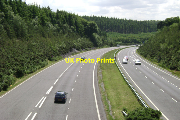 Photo 6"x4" A380 at Ashcombe Cross in Haldon Forest Ashcombe\/SX9179 c2009