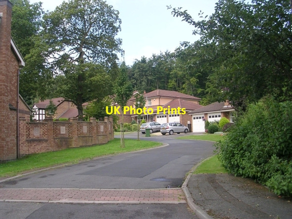 Photo 6"x4" Bradfield Close - Redwood Drive Bradley\/SE1620 c2009