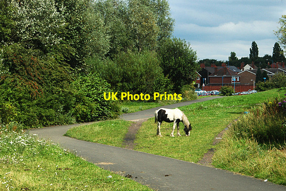 Photo 6"x4" Footpath at Gospel Oak Coseley c2009