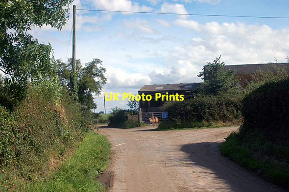 Photo 6"x4" Passing Lyneal Hall Farm Colemere c2009
