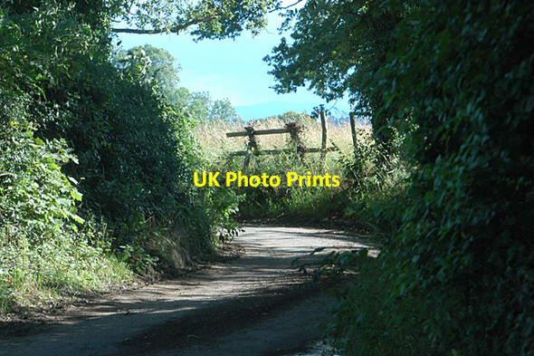 Photo 6"x4" Sharp bend on a narrow lane English Frankton c2009