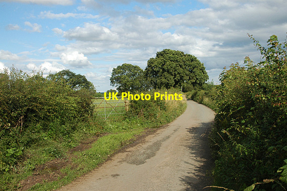 Photo 6"x4" Just another ordinary lane in Shropshire Ruewood c2009
