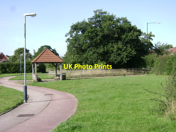 Photo 6"x4" The Whitnash Oak, Warwick Gates estate Tachbrook Mallory c2009