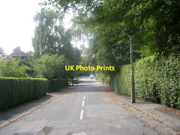 Photo 6"x4" Wedgewood Grove - Lidgett Park Road Lidgett Park c2009