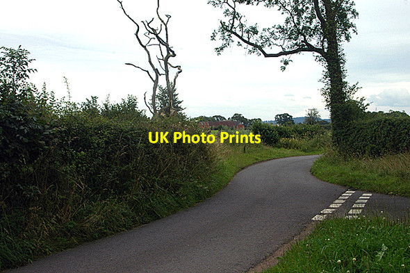 Photo 6"x4" Junction of two narrow lanes Edstaston c2009