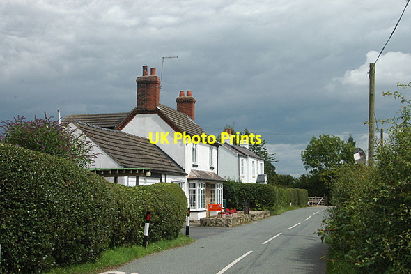 Photo 6"x4" Cattery & cottage Barkers Green c2009