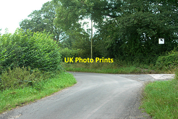 Photo 6"x4" Farm entrance on a sharp bend Aston\/SJ5328 c2009