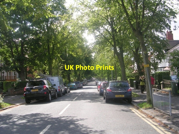 Photo 6"x4" Shaftesbury Avenue - Street Lane Lidgett Park c2009