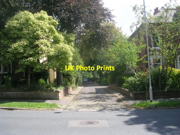 Photo 6"x4" Devonshire Lane - Shaftesbury Avenue Lidgett Park c2009