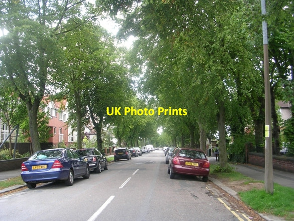 Photo 6"x4" Devonshire Avenue - Street Lane Lidgett Park c2009