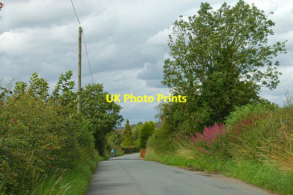 Photo 6"x4" Country lane between Stowe & Hixon Hixon c2009
